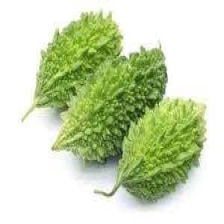 Bitter Gourd
