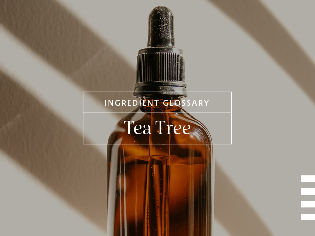 Best Tea Tree Beauty Products Sephora Australia