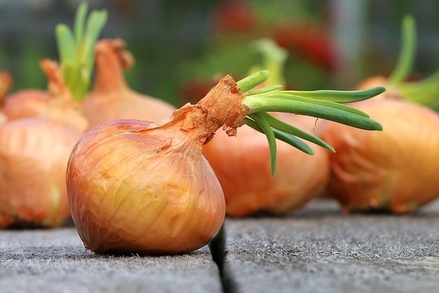 蔬菜