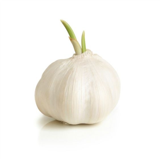 蔬菜