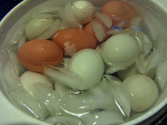 egg