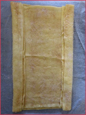 palmier-etp4