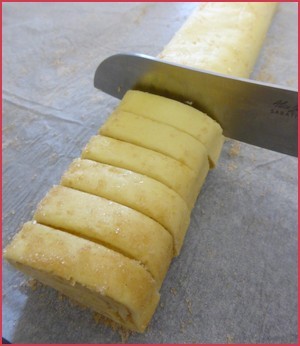 palmier-etp7