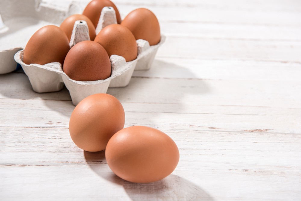 egg