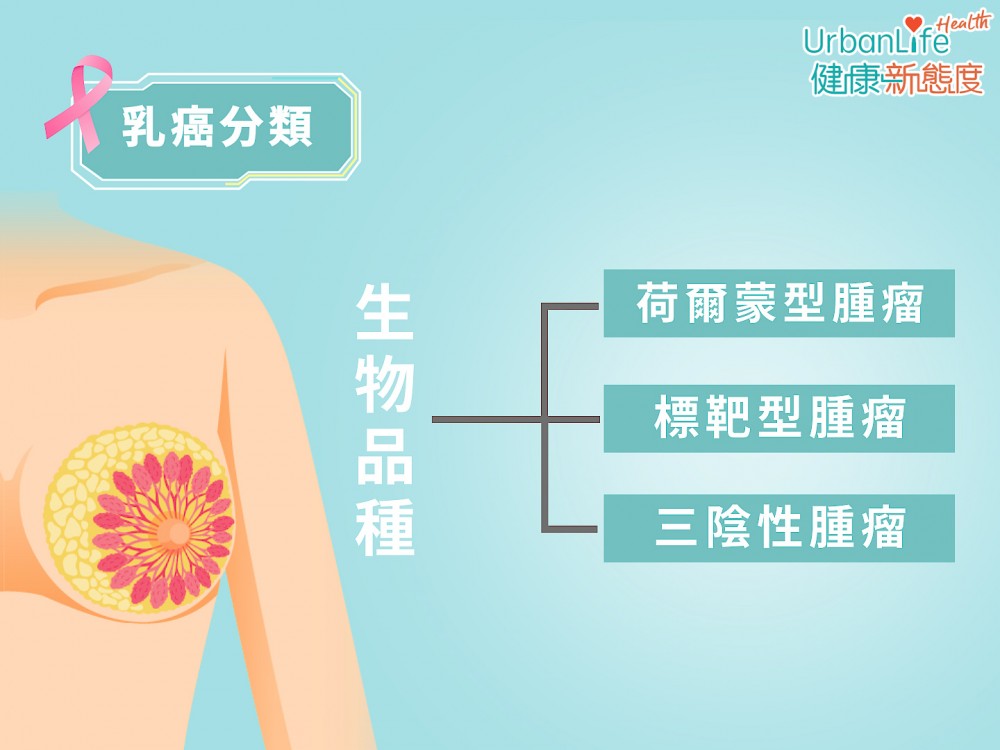 乳癌種類最常會依據「生物特質」分類。