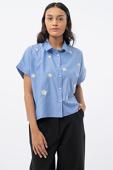 Blue Striped Hegias