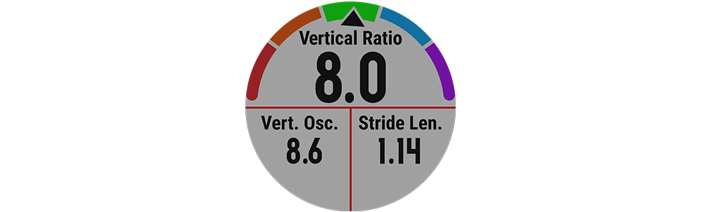 Garmin Fenix 5S Sapphire 42mm Sport Watch (Frost Blue)