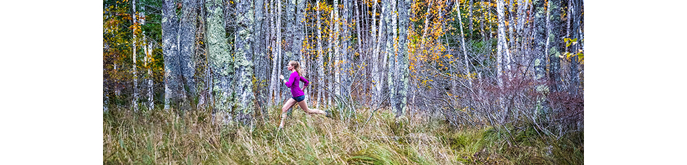 Garmin Fenix 5S Sapphire 42mm Sport Watch (Frost Blue)