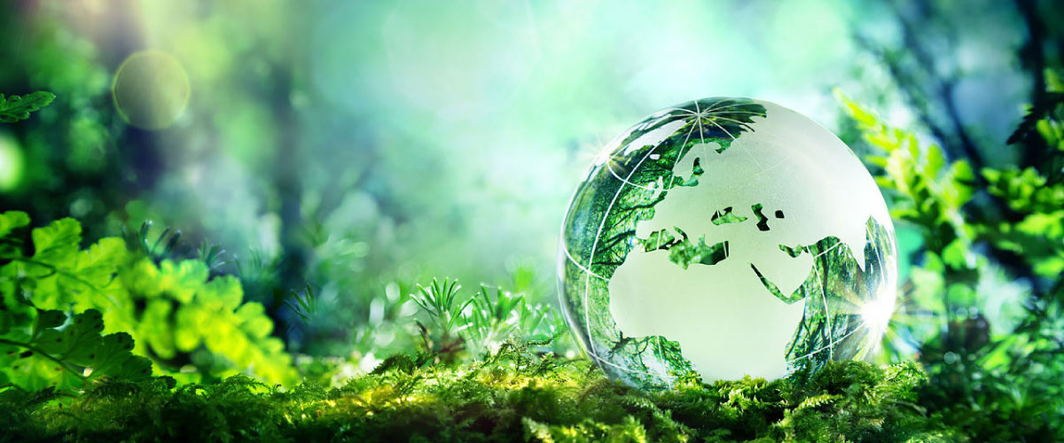sustainability-banner