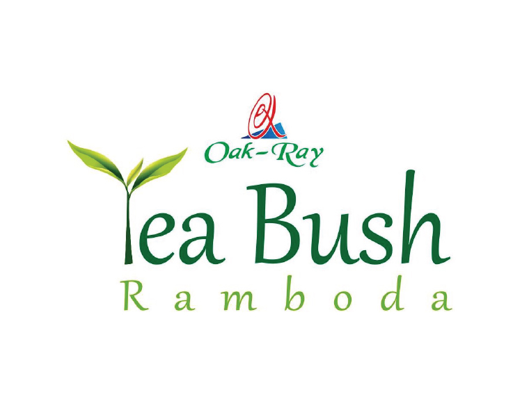 Tea-Bush