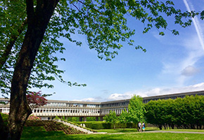 西門菲莎大學 西門菲莎大學