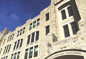 曼尼托巴大學 曼尼托巴大學