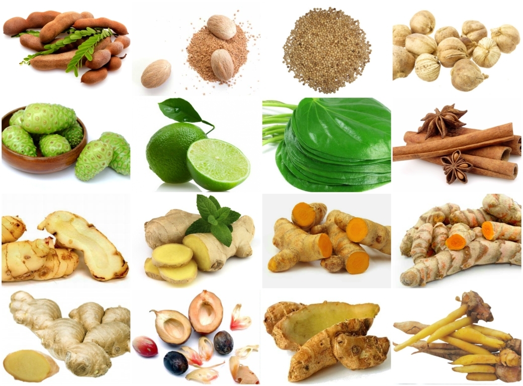 Ramuan Merapatkan Daerah Kewanitaan Paling Manjur KlubWanitacom