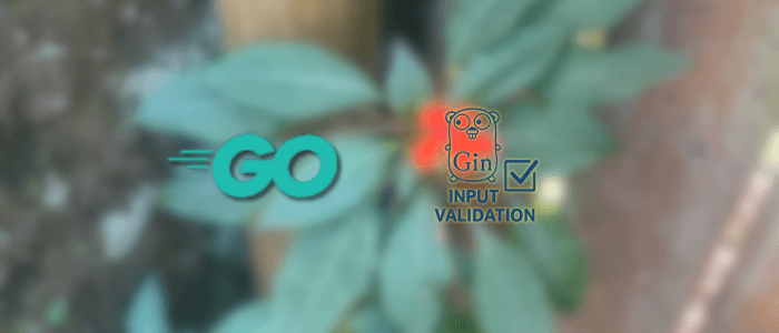 Input Validation in Golang APIs Using Go-Validator or Gin Binding