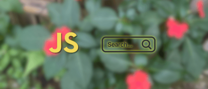 Building a Dynamic Search Bar with JavaScript: Step-by-Step Guide