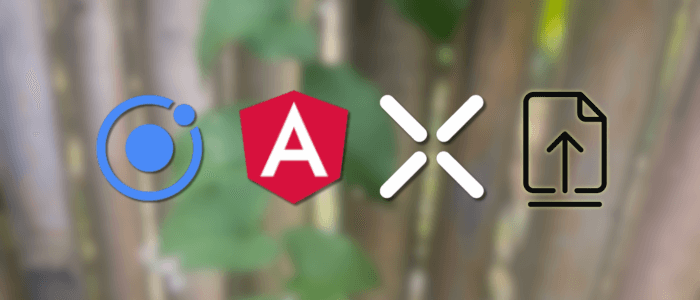 Ionic 8 + Angular 20 Standalone Base64 Image Upload with Capacitor 5