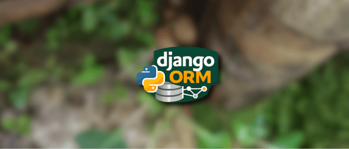 Getting Started with Django ORM: Queries, Filters, and Aggregations