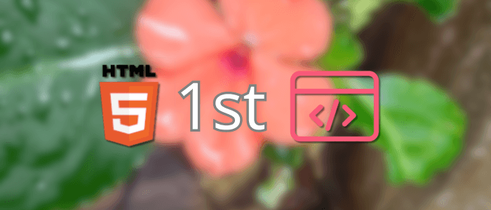 HTML for Beginners: Your First Website Step by Step