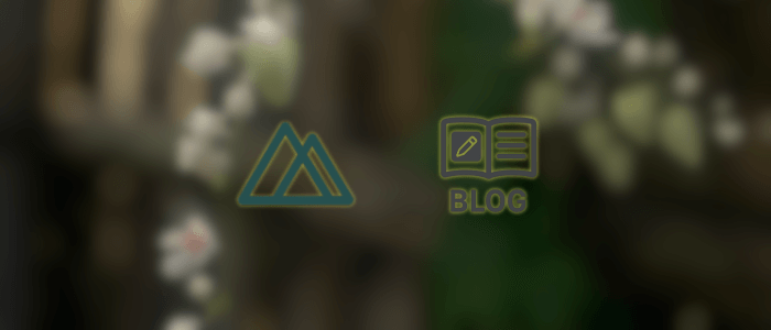 Create a Blog with Nuxt 3, Content Module, and Static Generation