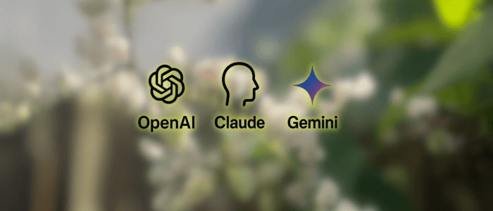 Comparing OpenAI vs Claude vs Gemini: Which AI API Is Best for Developers?