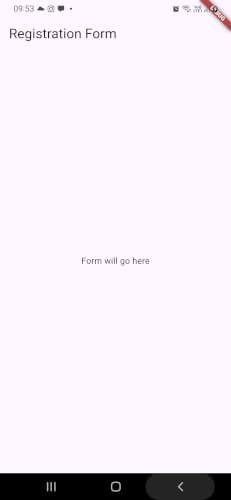 Mastering Forms in Flutter: Validation, Submission, and UX Best Practices - blank form