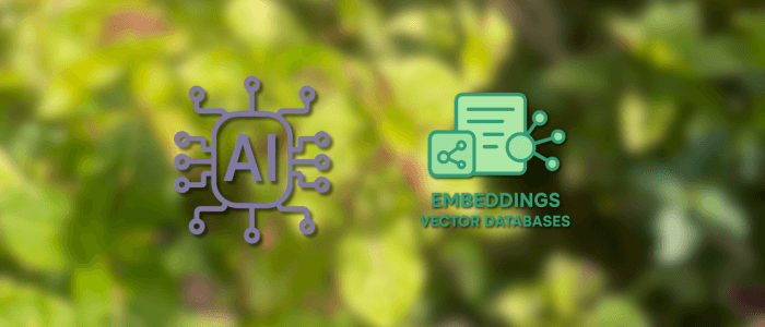 Everything You Need to Know About Embeddings and Vector Databases