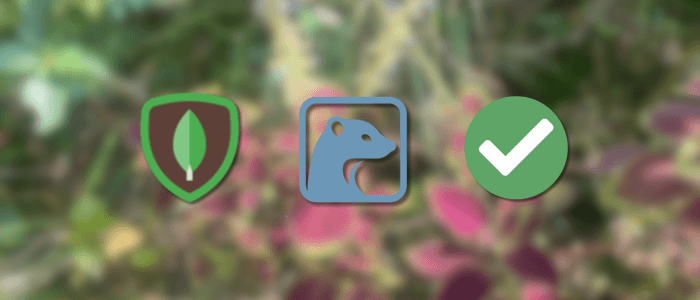 Mastering Mongoose: Schemas, Models, and Validation in Node.js