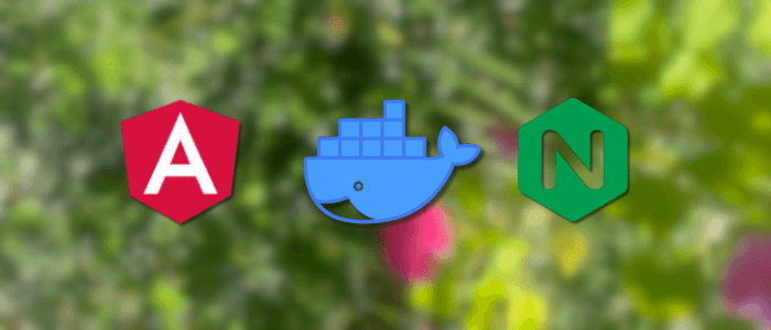 How to Deploy Angular App with Docker, Nginx, and Free SSL