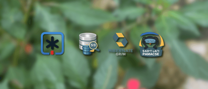 Integrating Quarkus with Databases: Hibernate ORM, Reactive SQL & Panache