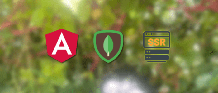 Angular 20 (Standalone) + SSR + MongoDB (Universal) — 2025 Update
