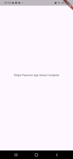 Flutter Stripe Integration Tutorial: Build a Payment App - setup