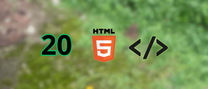 Top 20 HTML Tags Every Web Developer Should Know