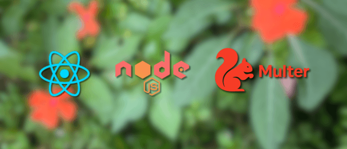 File Uploads in React with Node.js and Multer Backend
