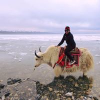 Ima Jahya
