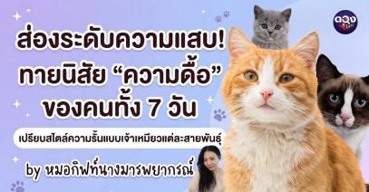 ส่องระดับความแสบ! ทายนิสัย "ความดื้อ" ของคนทั้ง 7 วัน เปรียบสไตล์ความรั้นแบบเจ้าเหมียวแต่ละสายพันธุ์ by หมอกิฟท์นางมารพยากรณ์