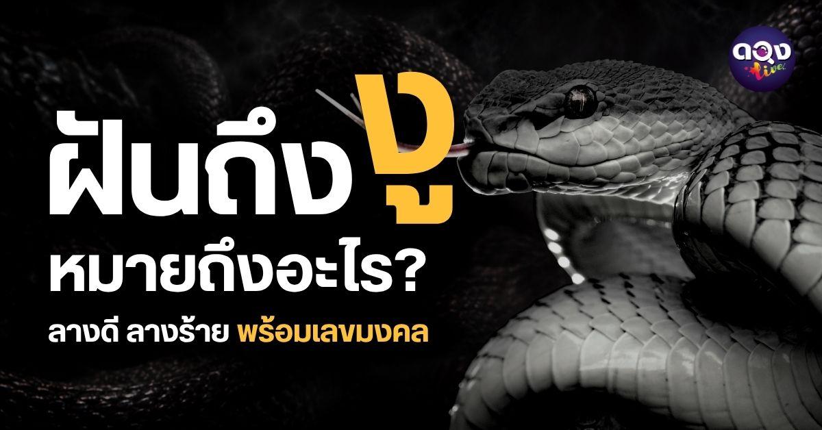 ฝันถึงงู หมายถึงอะไร? พร้อมเลขมงคลตามความฝัน