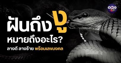 ฝันถึงงู หมายถึงอะไร? พร้อมเลขมงคลตามความฝัน