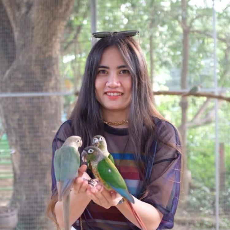 รูปโปรไฟล์ของ กุ๊กไก่ ไพ่ยิปซี