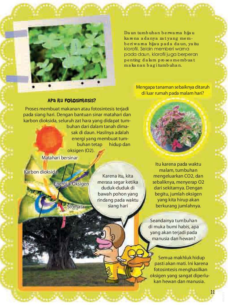 78 Gambar Komik Hewan Dan Tumbuhan HD Terbaru