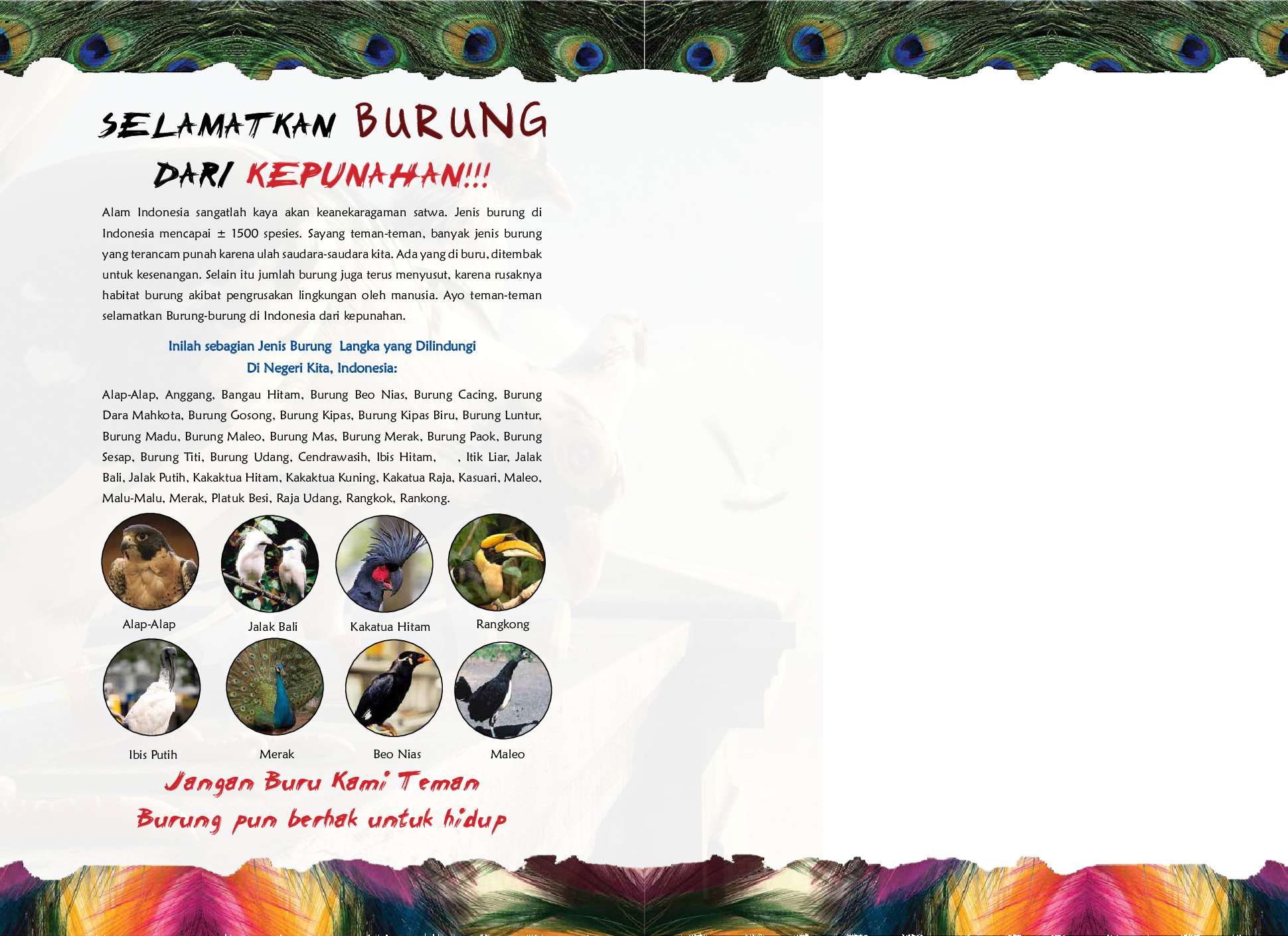 Jual Buku Agen Rahasia Kerajaan Nabi Sulaiman Oleh Ratu Hawa S Q