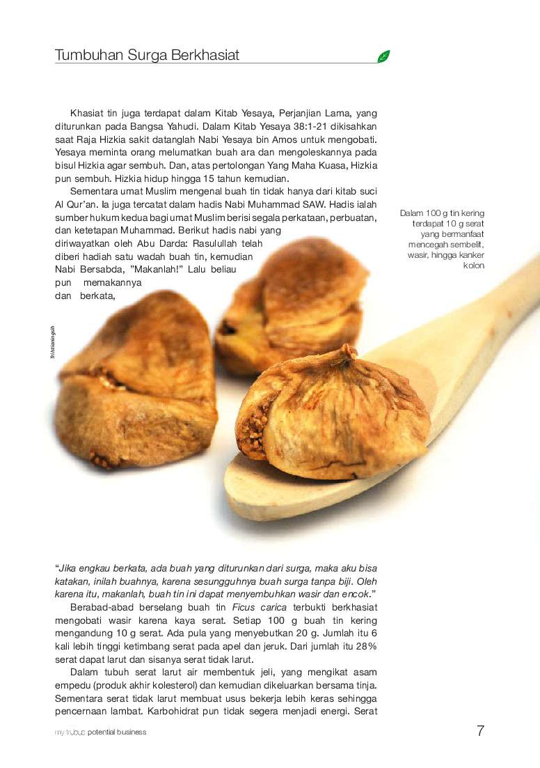 Prospek Bisnis Buah Surga Book by Desi Sayyidati Rahimah Prospek Bisnis Buah Surga Book by Desi Sayyidati Rahimah