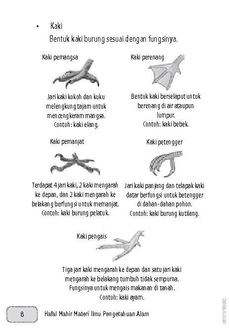 960 Koleksi Gambar Kaki Unggas Dan Fungsinya Gratis Terbaru