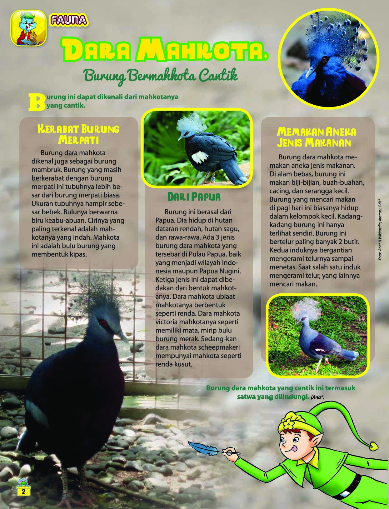 Bobo Magazine Ed 13 July 2018 Gramedia Digital