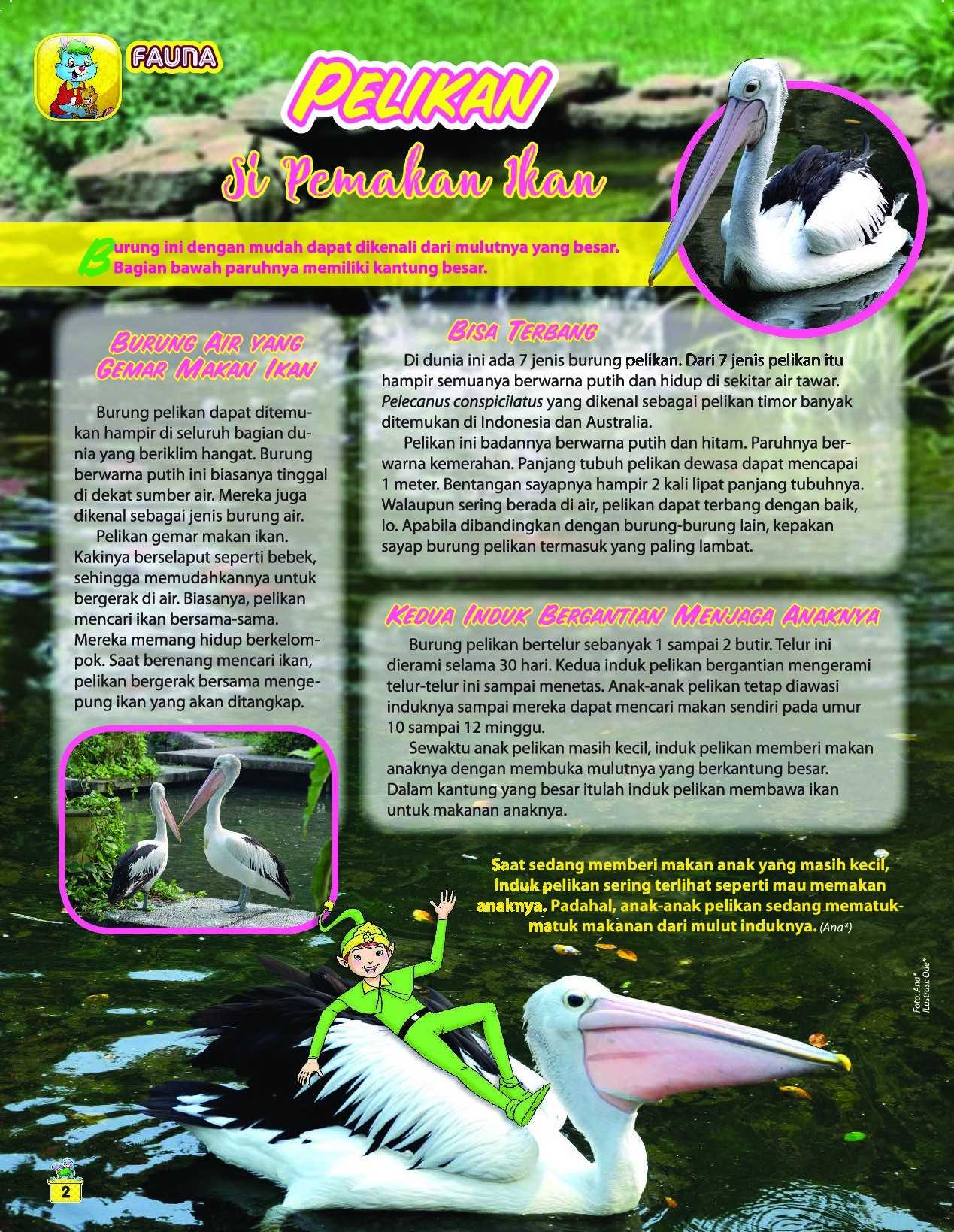 Bobo Magazine Ed 25 September 2018 Gramedia Digital