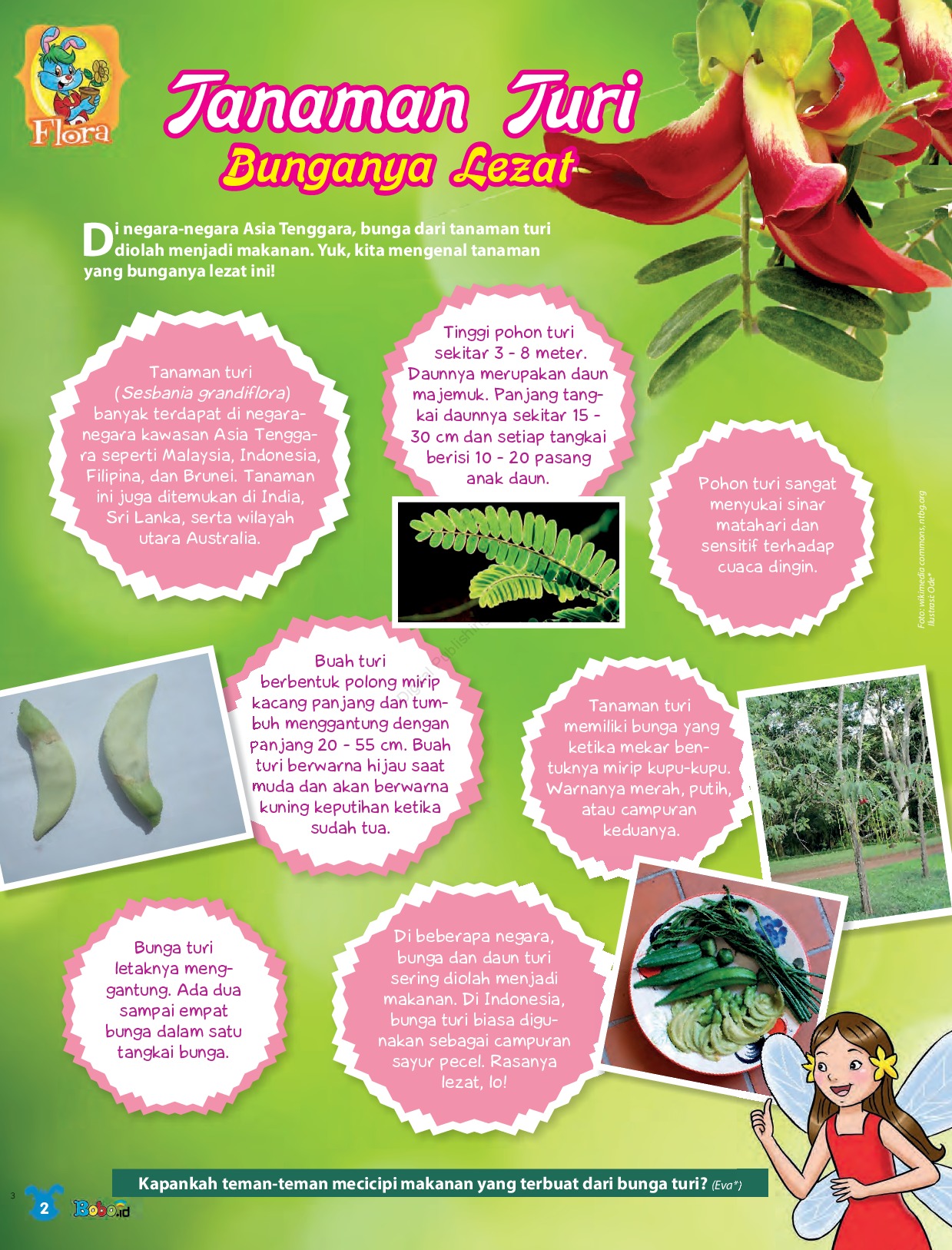 Bobo Magazine ED 37 2021 - Gramedia Digital