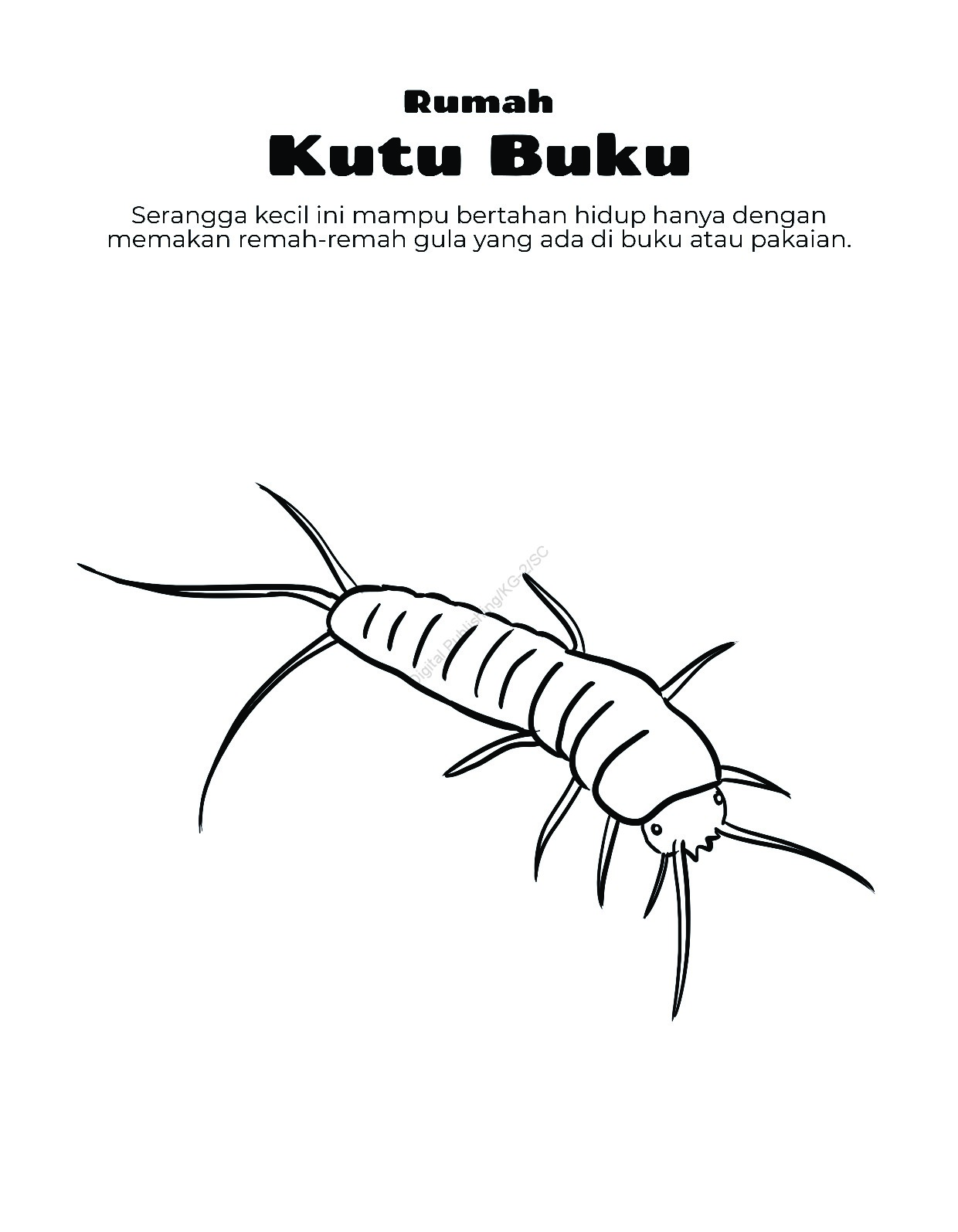 94 Gambar Anggur Untuk Di Warnai Terlihat Keren 94 Gambar Anggur Untuk Di Warnai Terlihat Keren