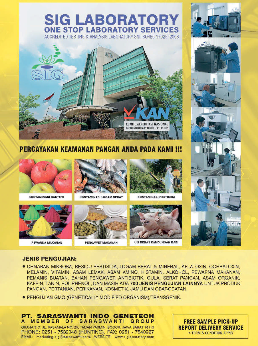 Indonesia review