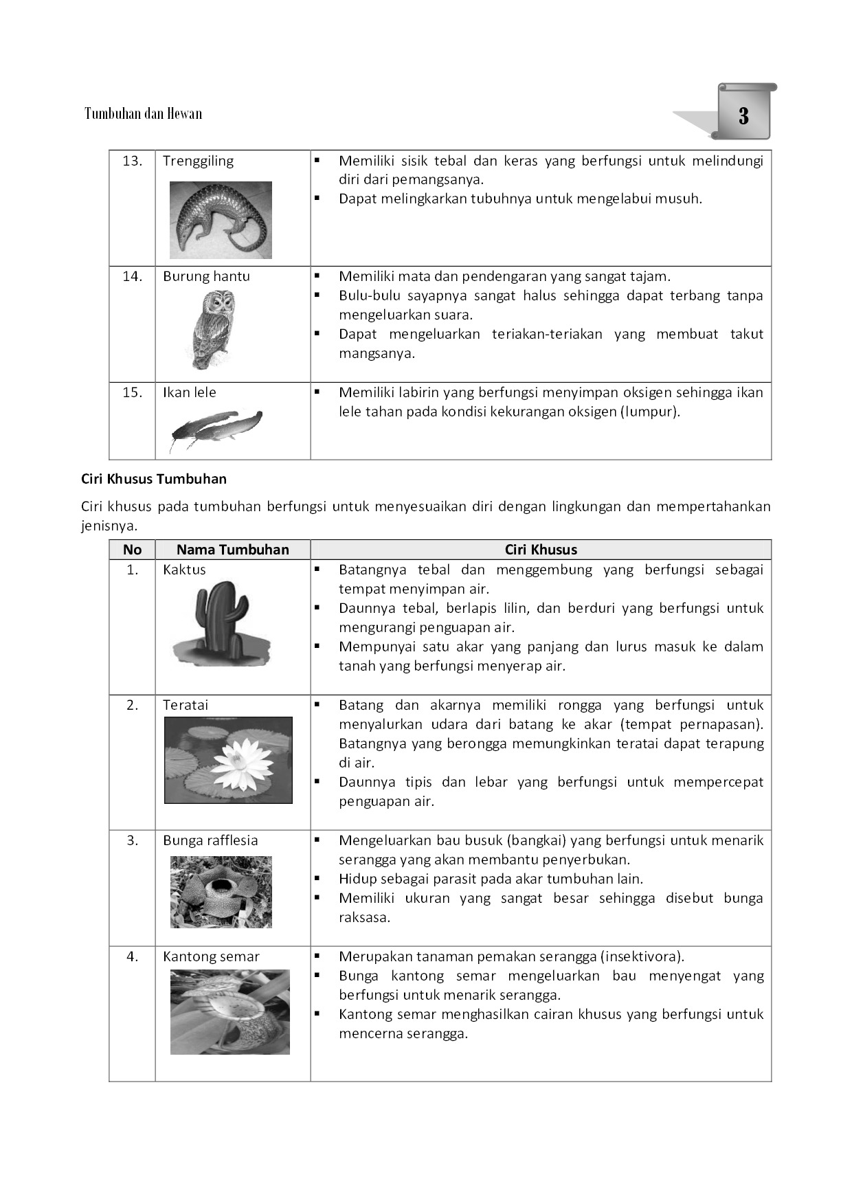 Jual Buku Babat Habis Ujian Nasional Ipa Sd Mi Cara Jitu Sukses Un Sd Dengan Mudah Oleh Agus Kamaludin Gramedia Digital Indonesia
