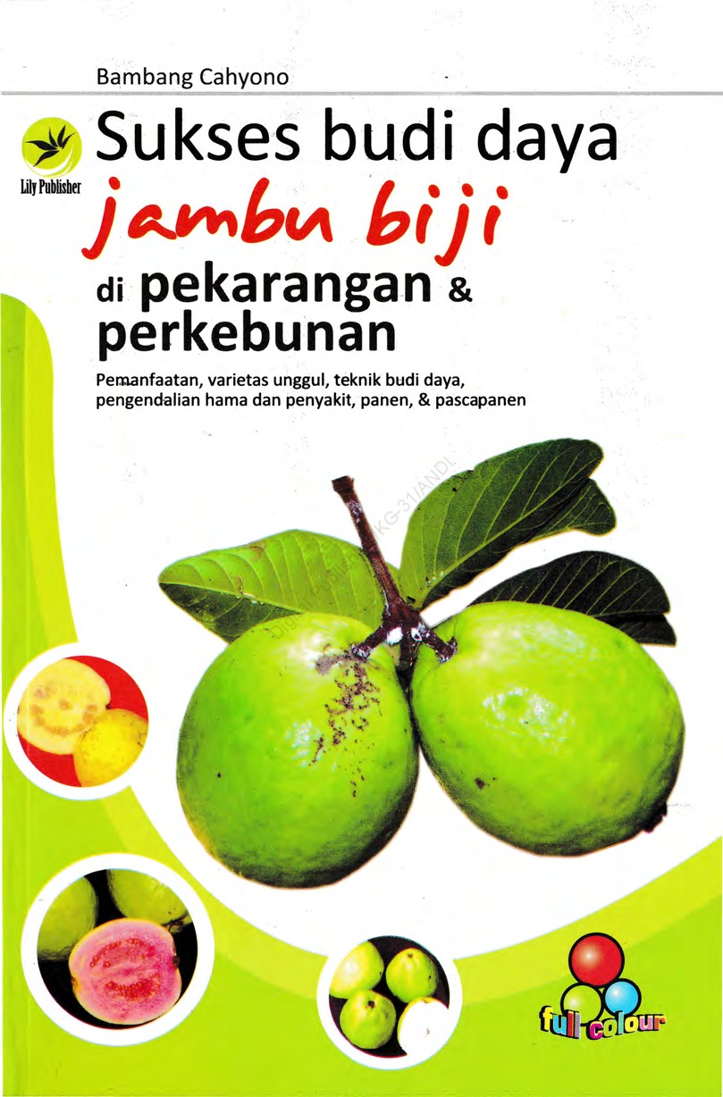 Jual Buku Sukses Budi Daya Jambu Biji Di Pekarangan Dan Perkebunan Oleh Bambang Cahyono Gramedia Digital Indonesia