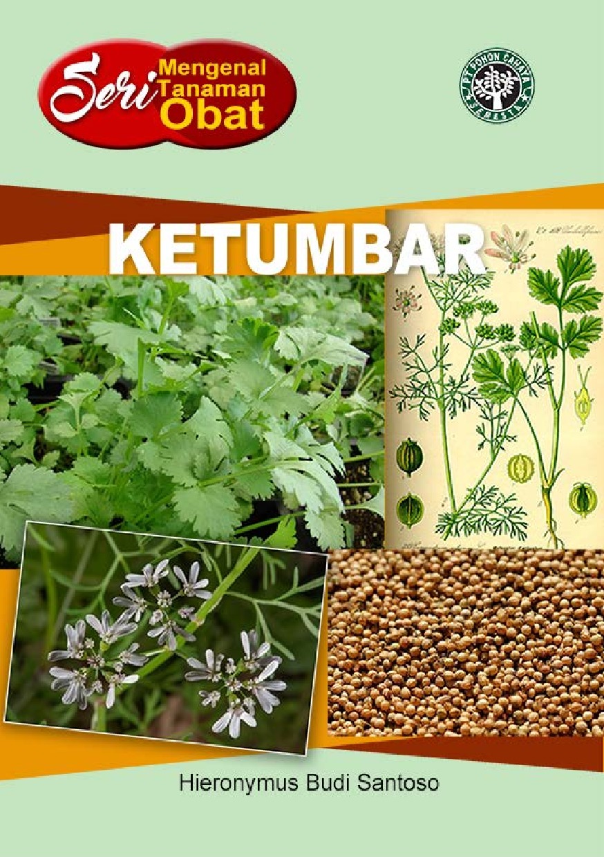 Pohon Ketumbar